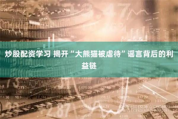 炒股配资学习 揭开“大熊猫被虐待”谣言背后的利益链